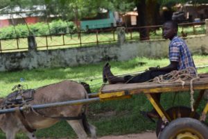 Actions humanitaires du Lycée TERRE NOUVELLE de Marvejols