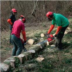 metiers-de-la-foret